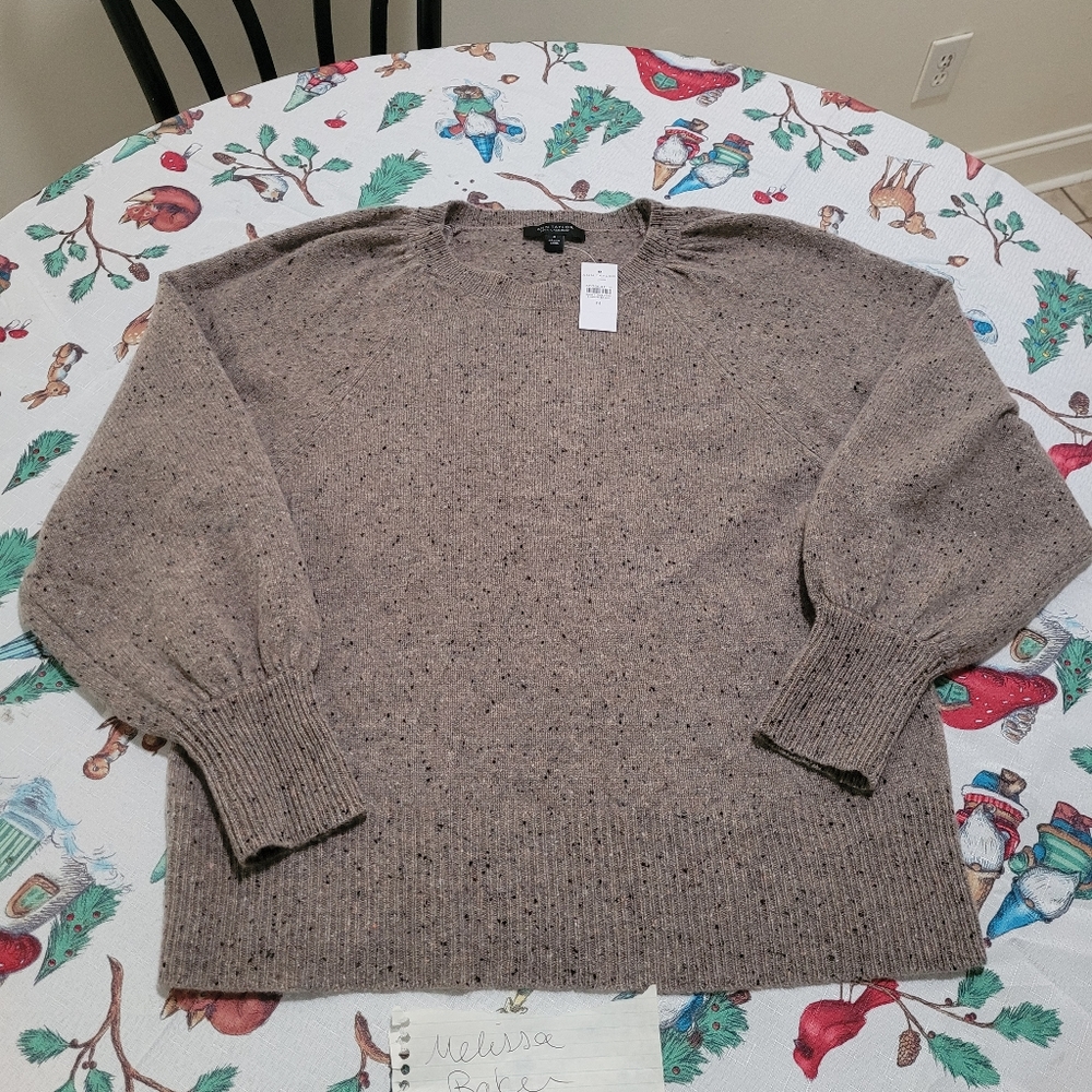 Ann Taylor cashmere sweater